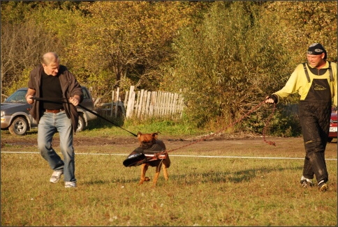 Training in Estonia 9/2007